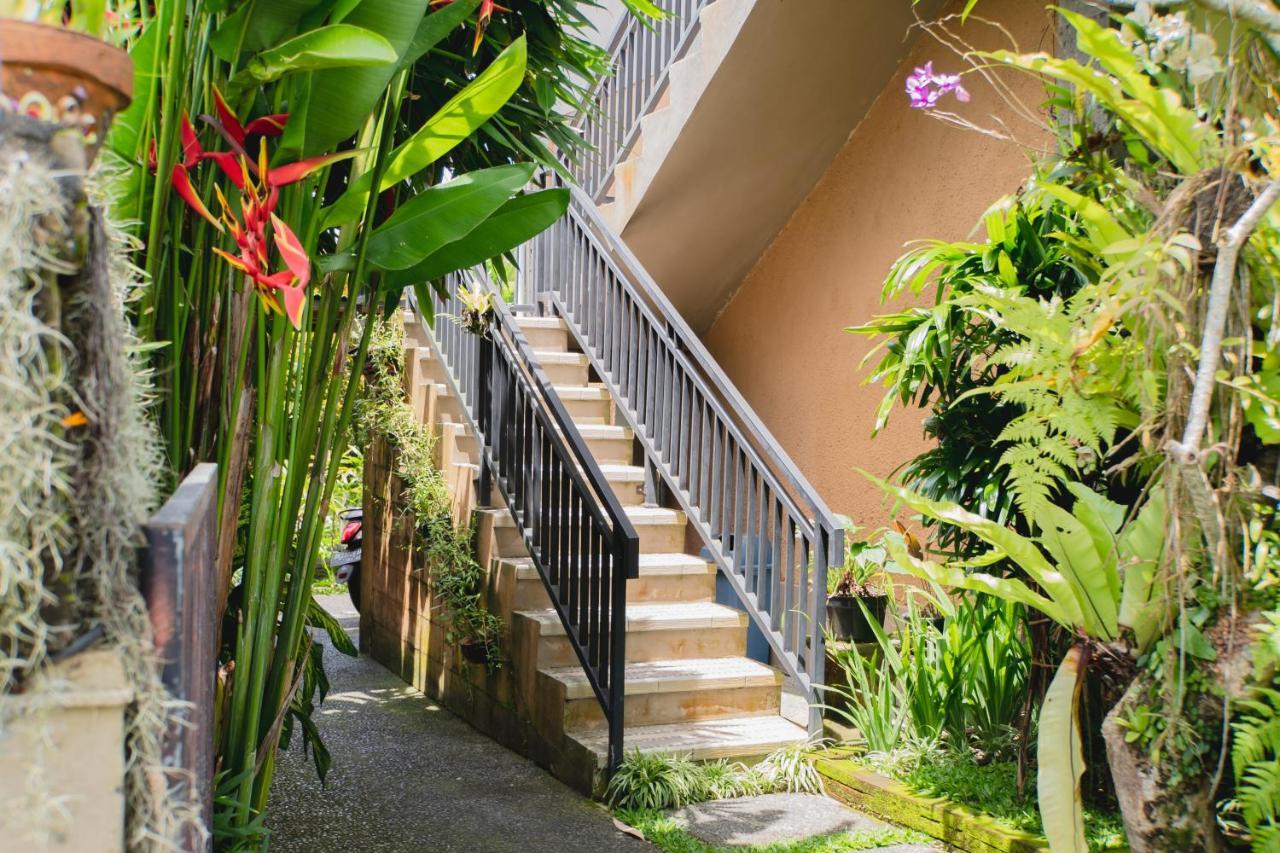 Casa de hóspedes Mancur