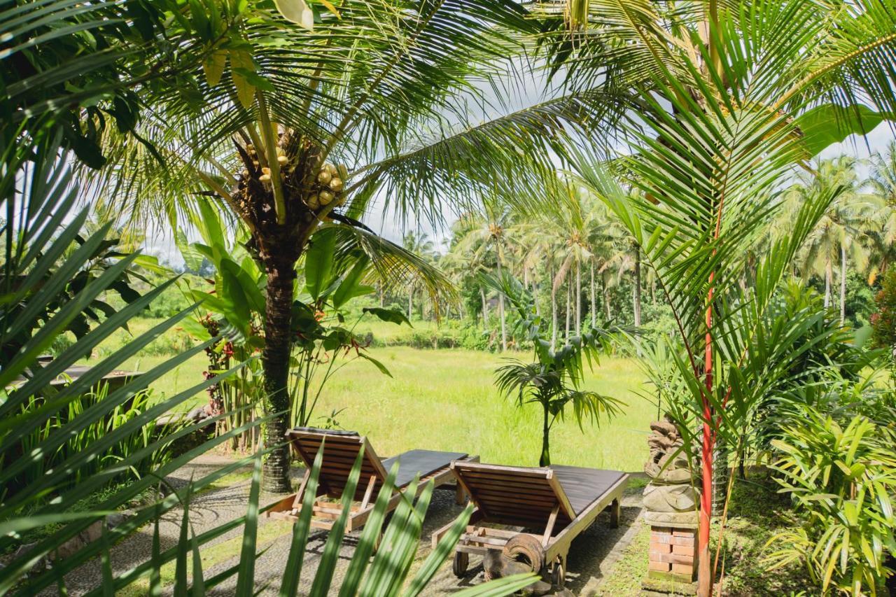Mancur 2* Ubud
