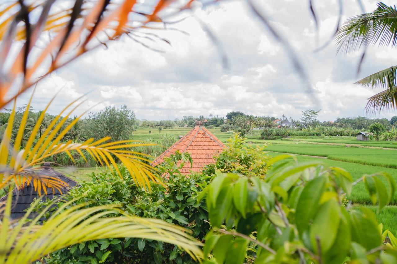 Casa de hóspedes Mancur Ubud