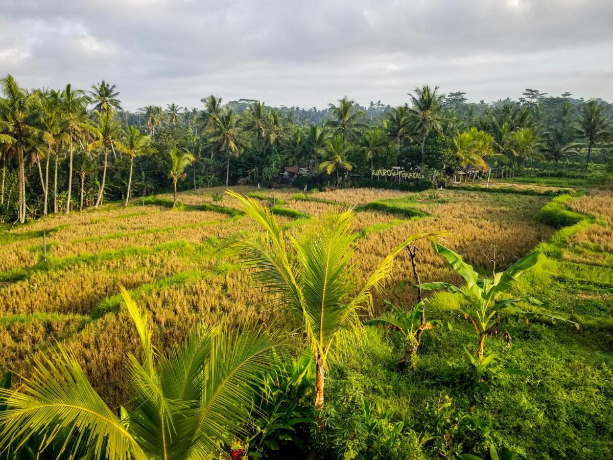 Casa de hóspedes Mancur Ubud