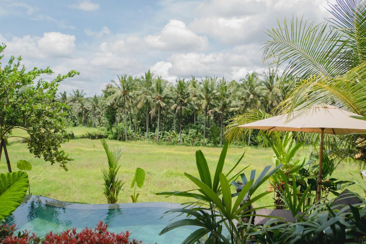 Mancur Gasthof 2*
